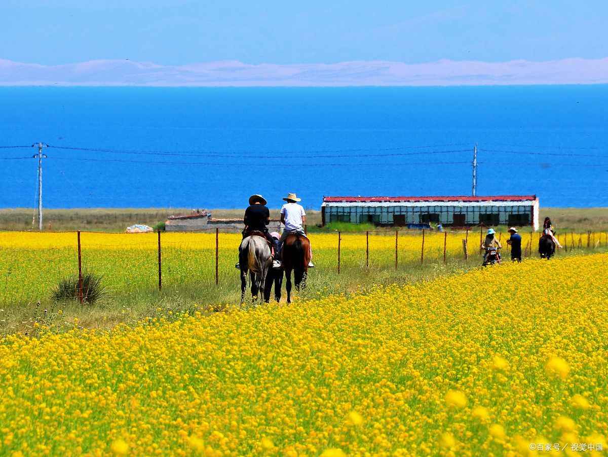 青海格尔木一日游